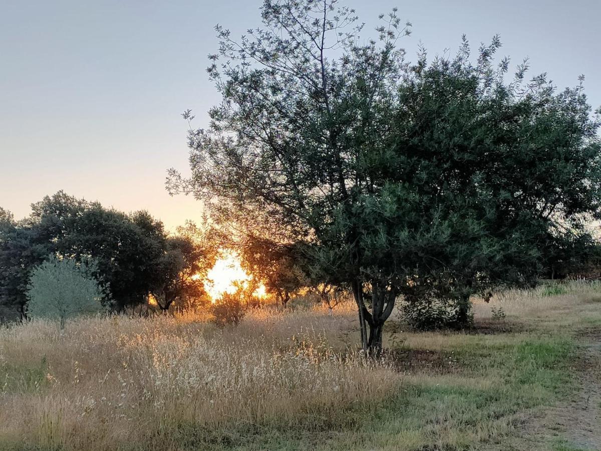 Casa Rural Camino Del Alentejo Villa La Codosera Екстериор снимка