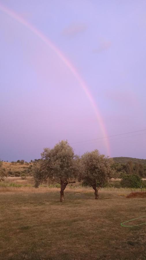 Casa Rural Camino Del Alentejo Villa La Codosera Екстериор снимка