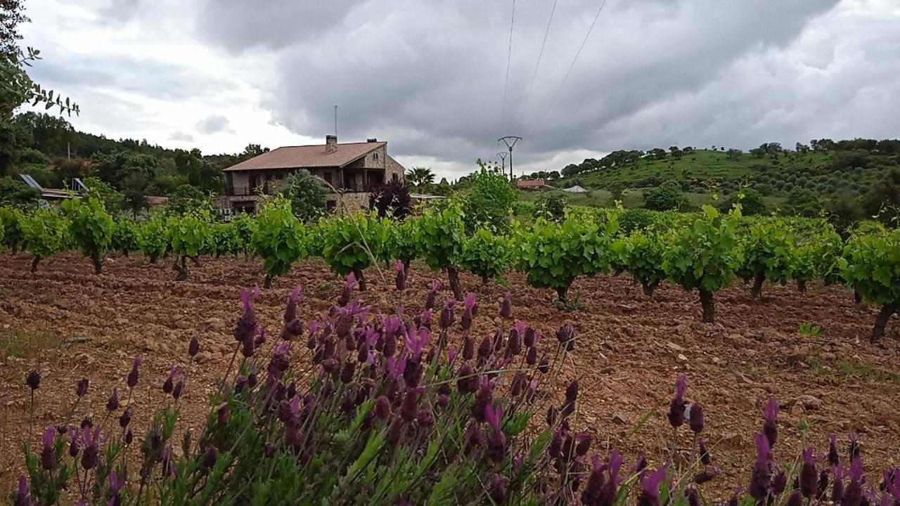 Casa Rural Camino Del Alentejo Villa La Codosera Екстериор снимка
