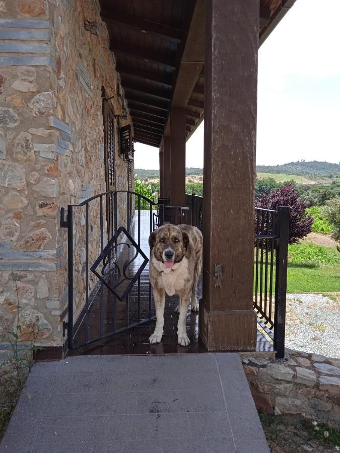Casa Rural Camino Del Alentejo Villa La Codosera Екстериор снимка