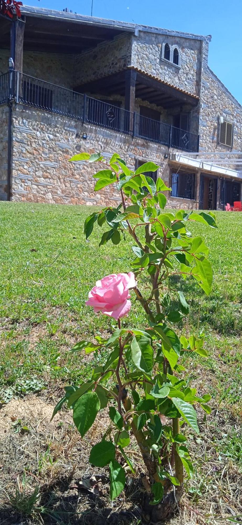 Casa Rural Camino Del Alentejo Villa La Codosera Екстериор снимка